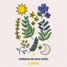 Camisola Oversize Herbas de San Xoán | Tradición Galega | Lóstrego